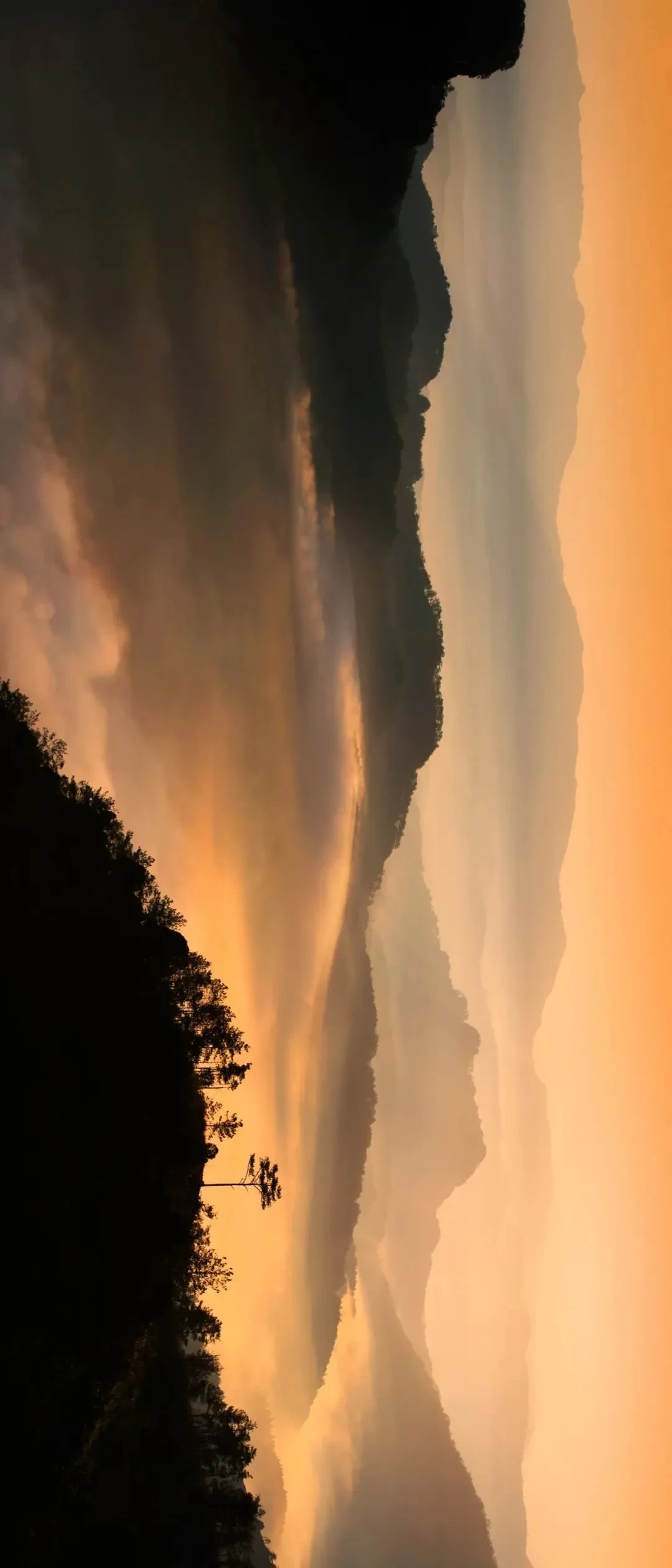 中国最美的茶山，居然是国家公园，有上万种生物！